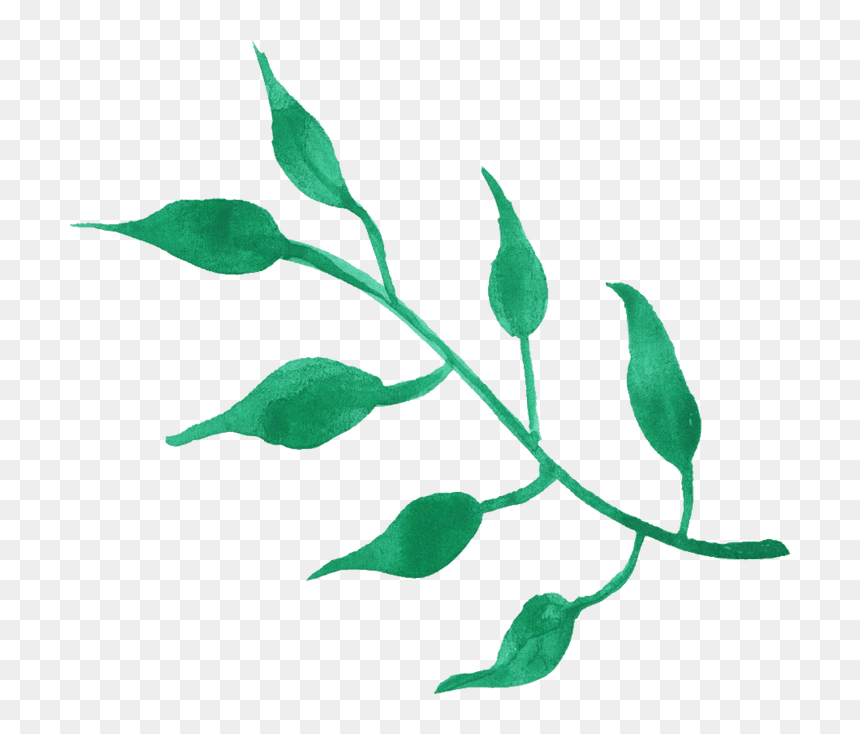 Transparent Watercolor Greenery Png - Green Leaf Watercolor Png Free, Png Download - watercolor leaves png