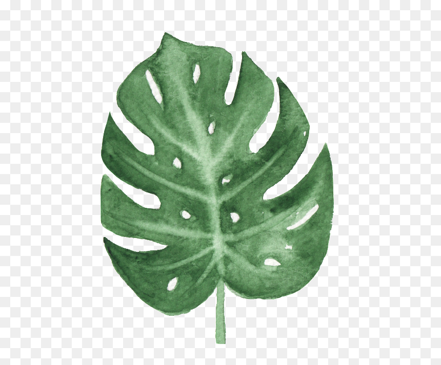 The Green Banana Leaf Watercolor Transparent Buckle - Watercolor Leaf Png Transparent, Png Download - watercolor leaves png