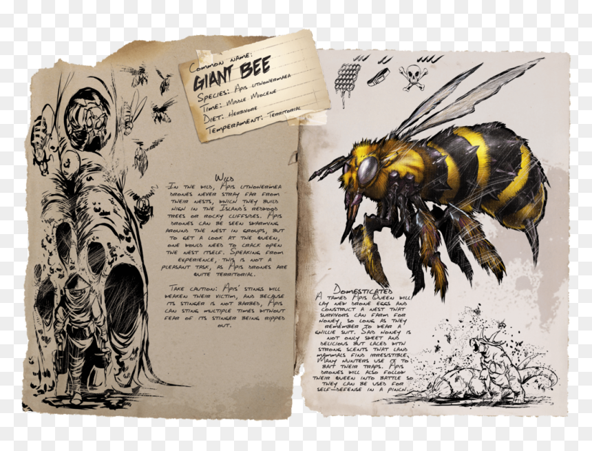 Illustration, HD Png Download - bees png