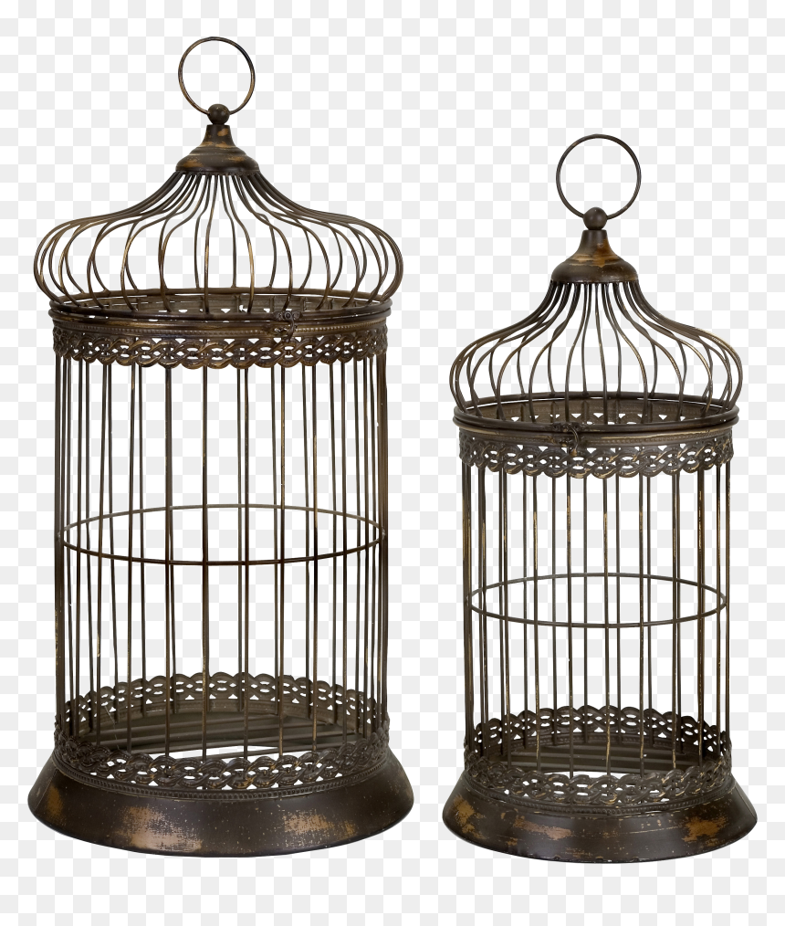 Bird Cage - Old Fashioned Ornate Bird Cage, HD Png Download - cage png