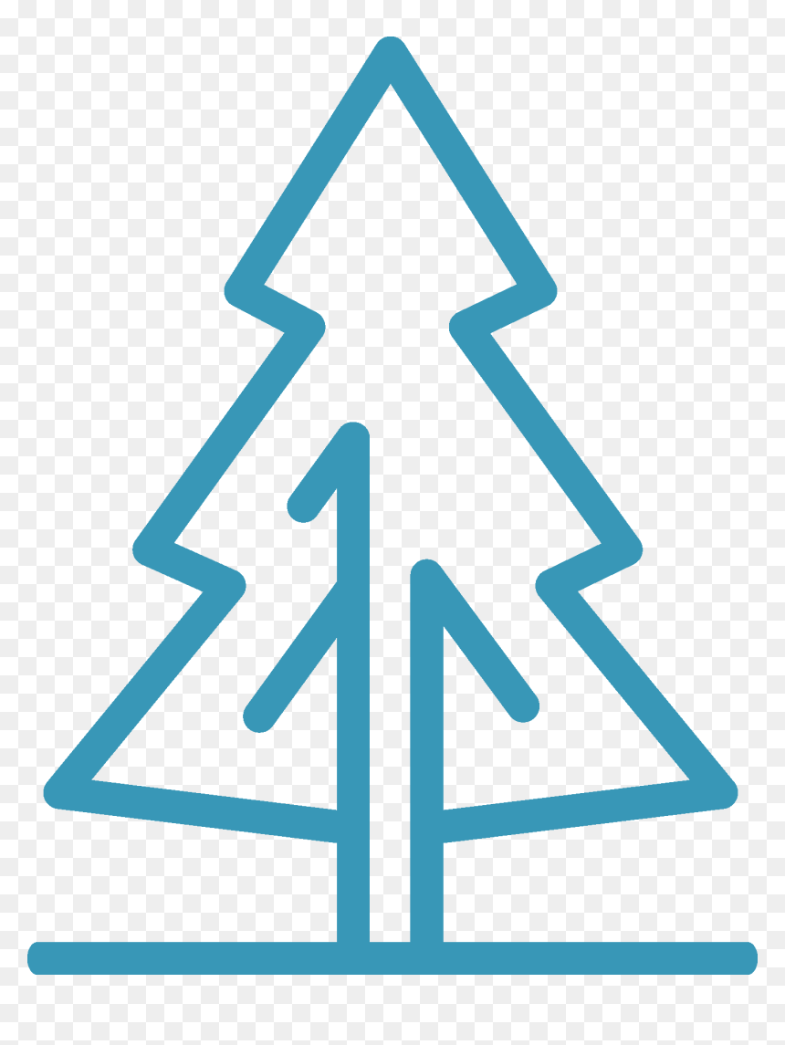 Olympic National Park - Still Loading Christmas Tree, HD Png Download - loading bar png