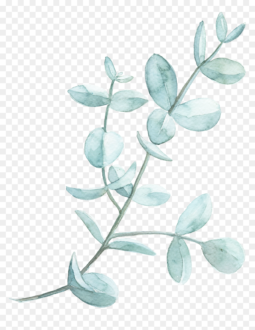 Watercolour Pink Leaves Png, Transparent Png - watercolor leaves png