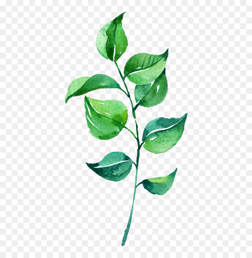 Thumb Image - Watercolor Leaves No Background, HD Png Download - greenery png