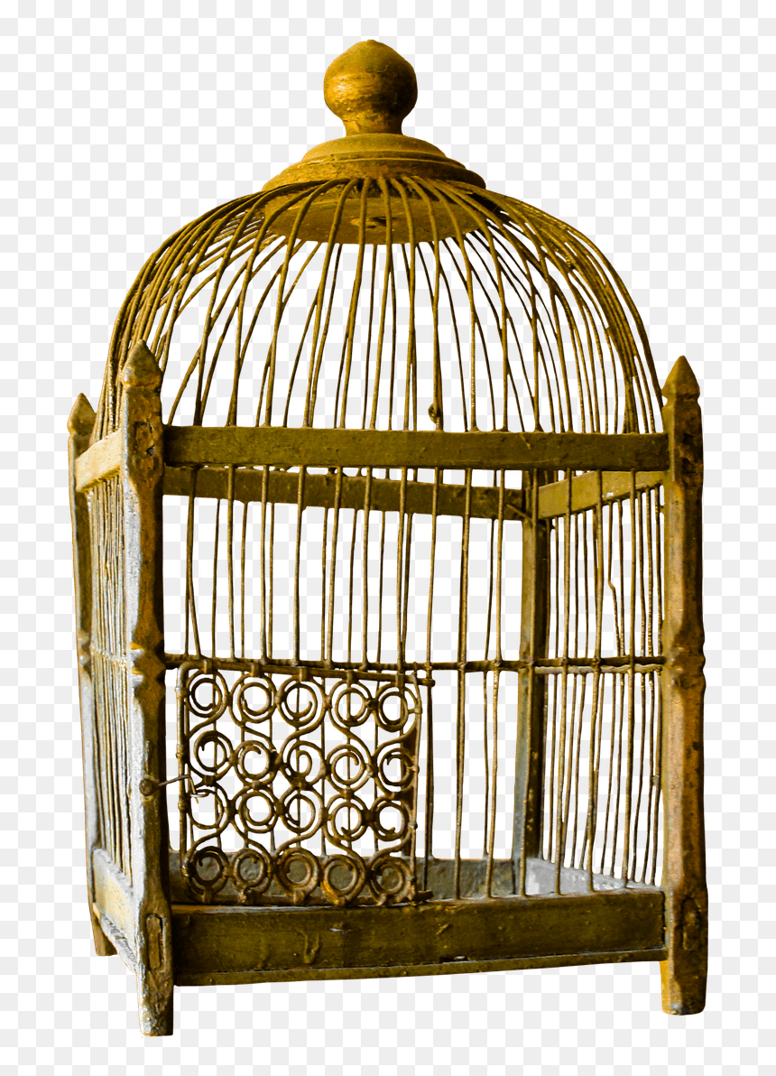 Bird Cage - Cat In Birdge Cage, HD Png Download - cage png