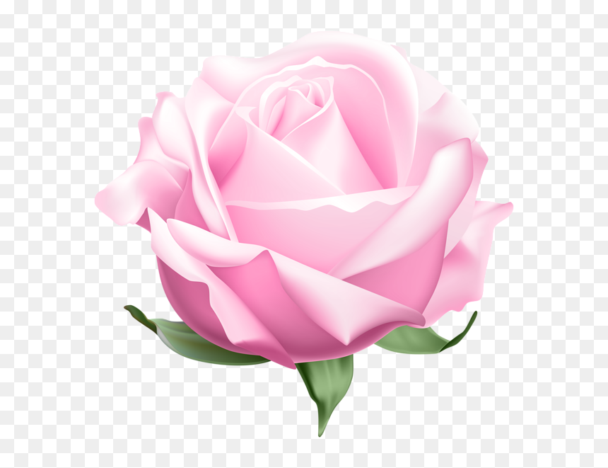 Clip Art, HD Png Download - pink roses png