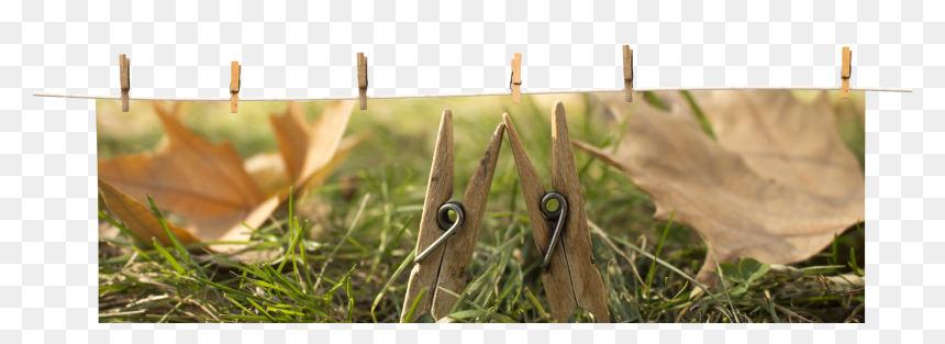 Close-up, Png Download - Grass, Transparent Png - clothespin png