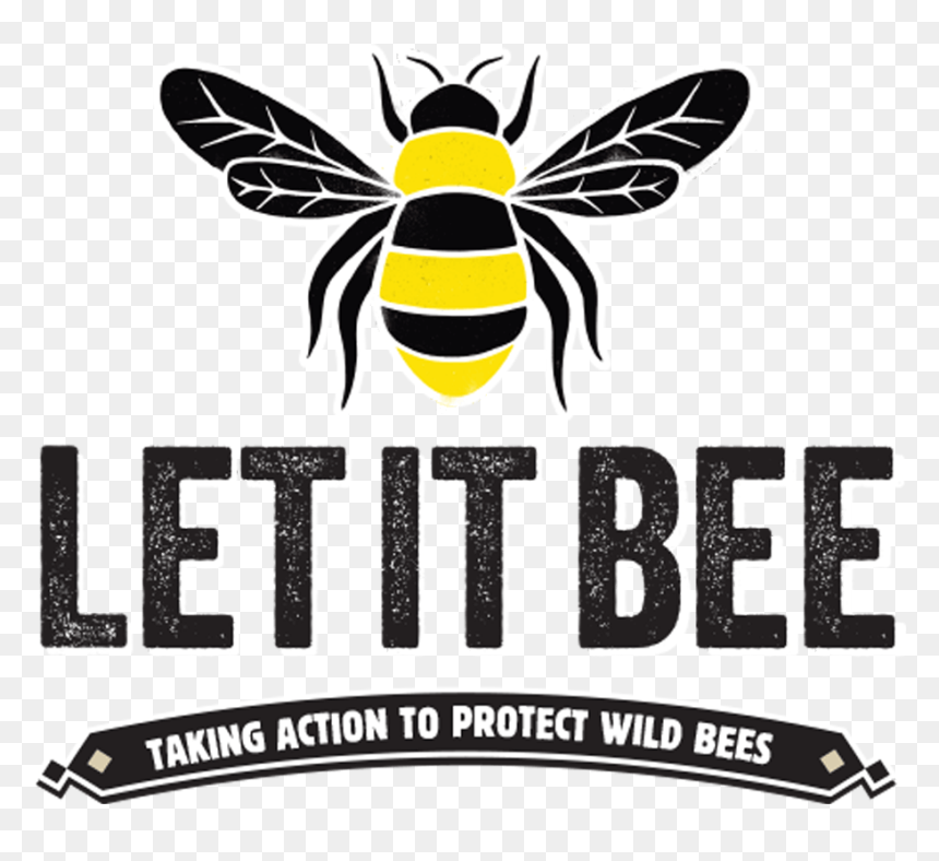 Let It Bee Taking Action To Protect Wild Bees - Honeybee, HD Png Download - bees png