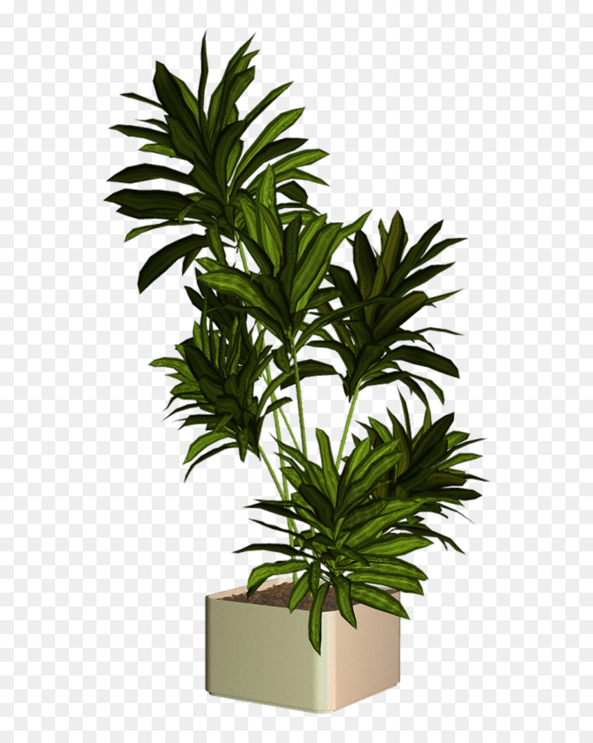 0 9ddc0 C1252162 Xxl Cut Out People, Greenery, Entourage, - Plantas Para Renders Png, Transparent Png - greenery png