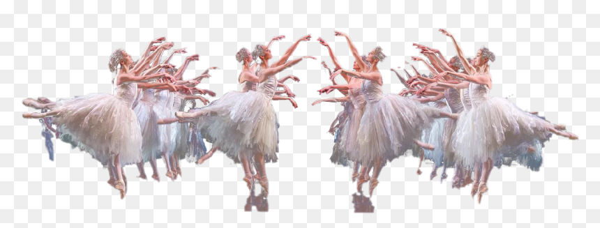 Ballet Swan Lake Png Download Image - Swan Lake Png, Transparent Png - lake png