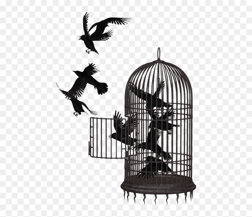 Cage Wires Png - Bird In A Cage Transparent, Png Download - cage png