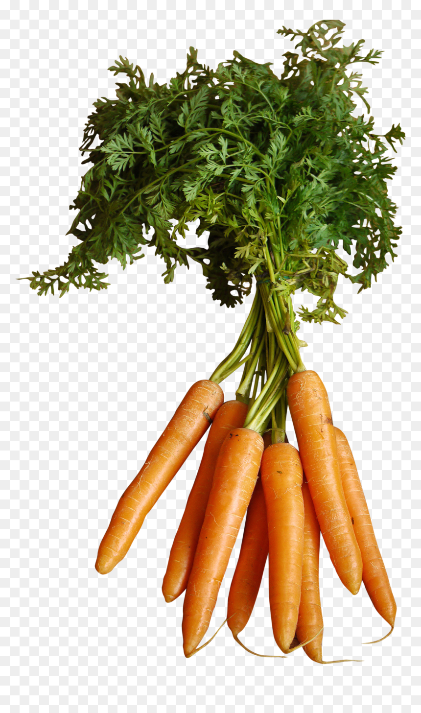 Orange Carrots With Stem - Carrot, HD Png Download - carrots png