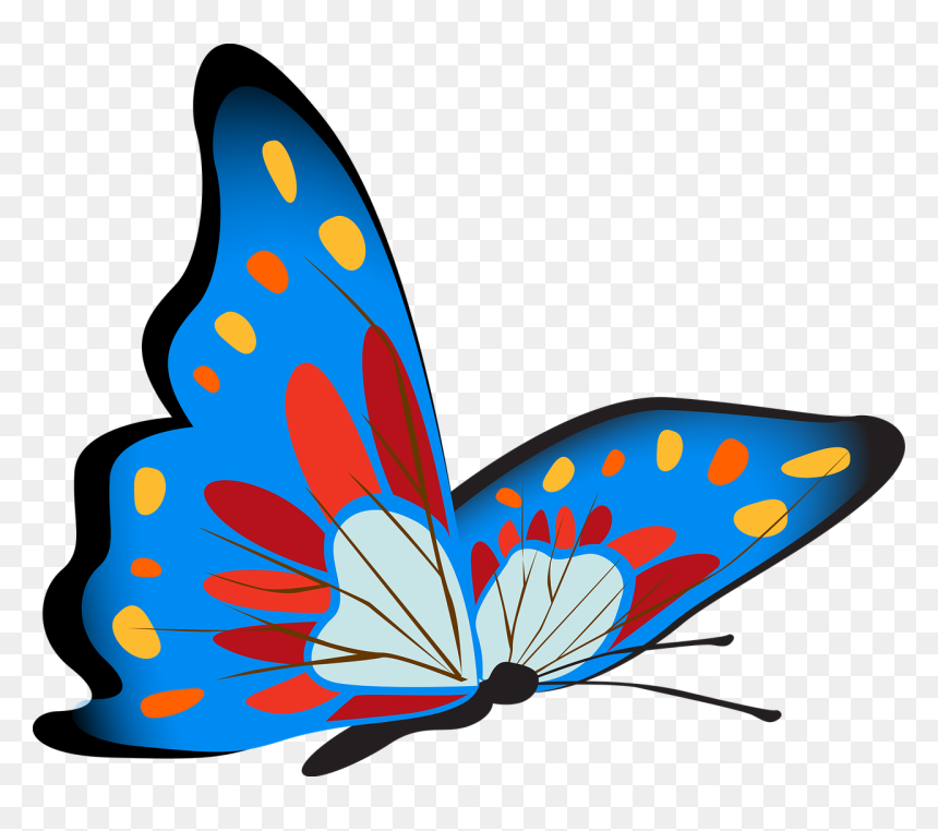 Vibrant Blue Butterfly Image - Colorful Butterflyclipart, HD Png Download - blue butterfly png