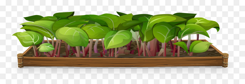 Plants Nursery Background Hd, HD Png Download - greenery png