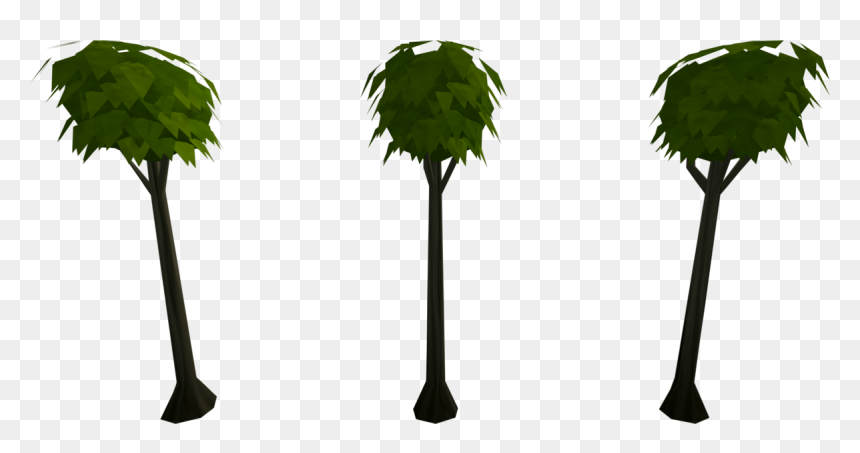 Palm Tree, HD Png Download - hedge png