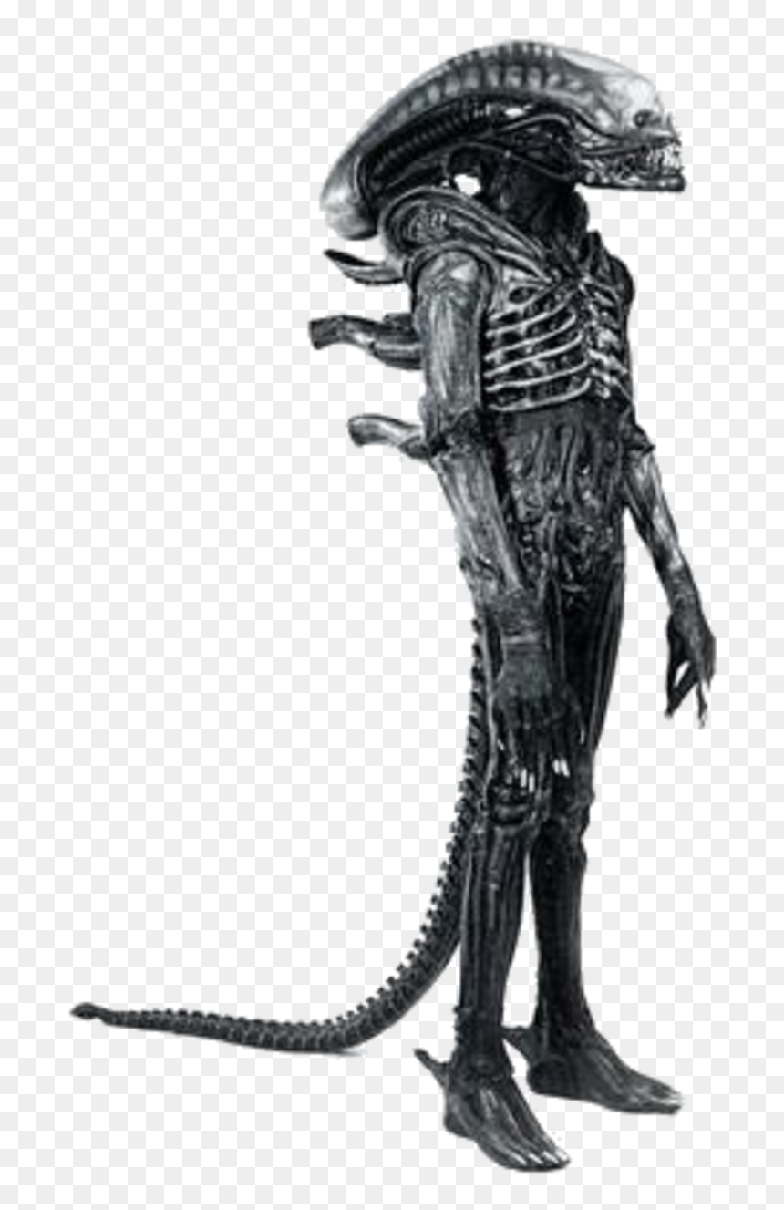 Smg4 Wiki - Bolaji Badejo, HD Png Download - xenomorph png