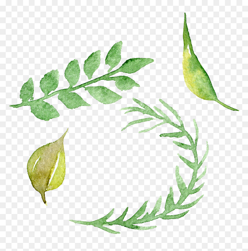 Watercolour Flowers Watercolor Painting - Acuarela Png, Transparent Png - watercolor leaves png