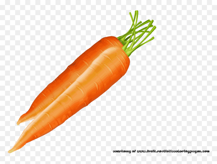 Carrot Image - Овощной Искусства Из Моркови, HD Png Download - carrots png