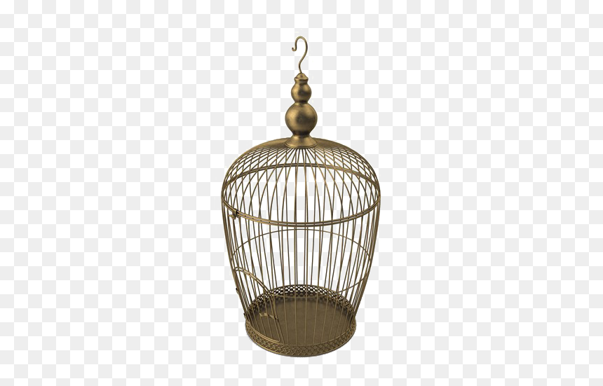 Golden Cage Png Transparent Photo - City Museum, Png Download - cage png