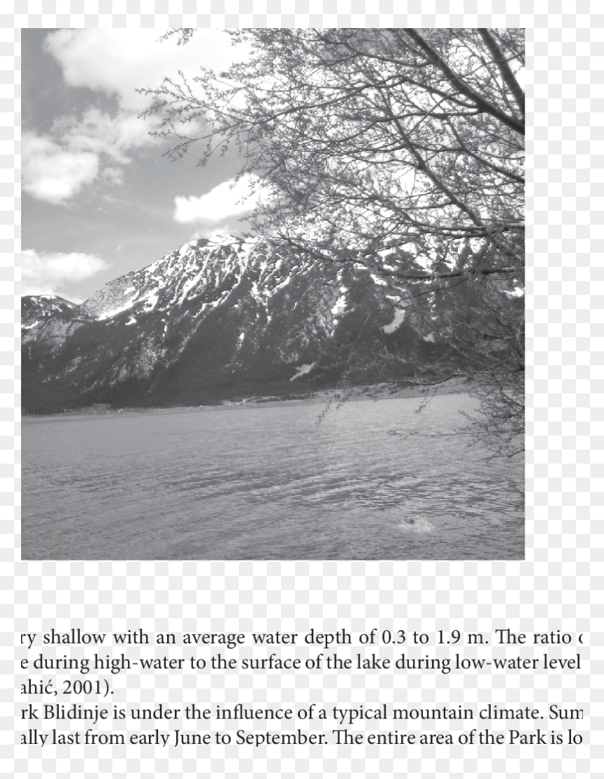 - Blidinje Lake , Png Download - Tree, Transparent Png - lake png