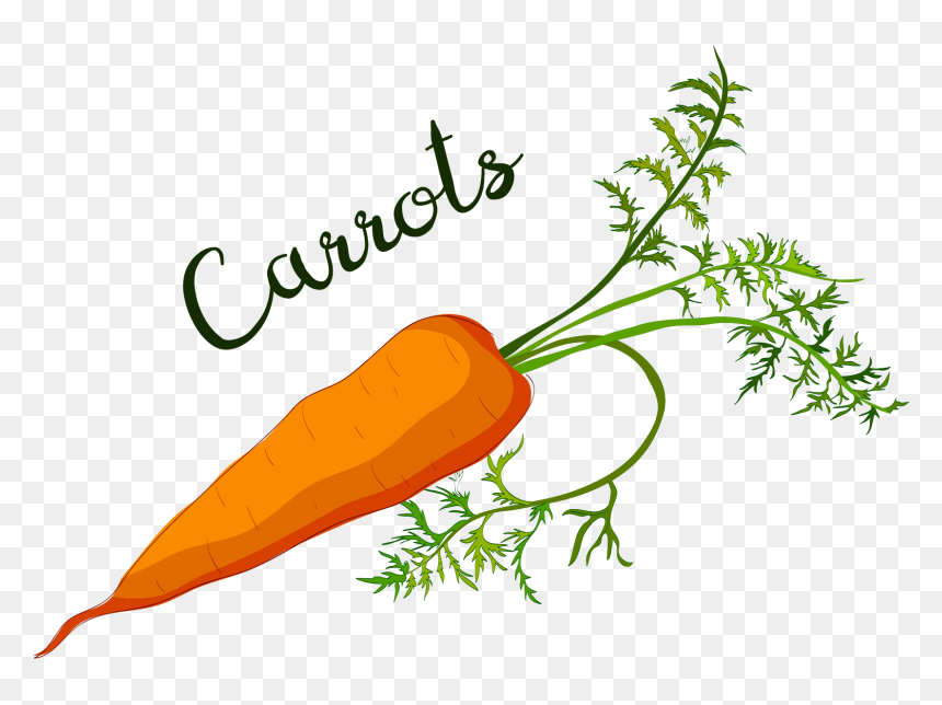 Clip Art, HD Png Download - carrots png