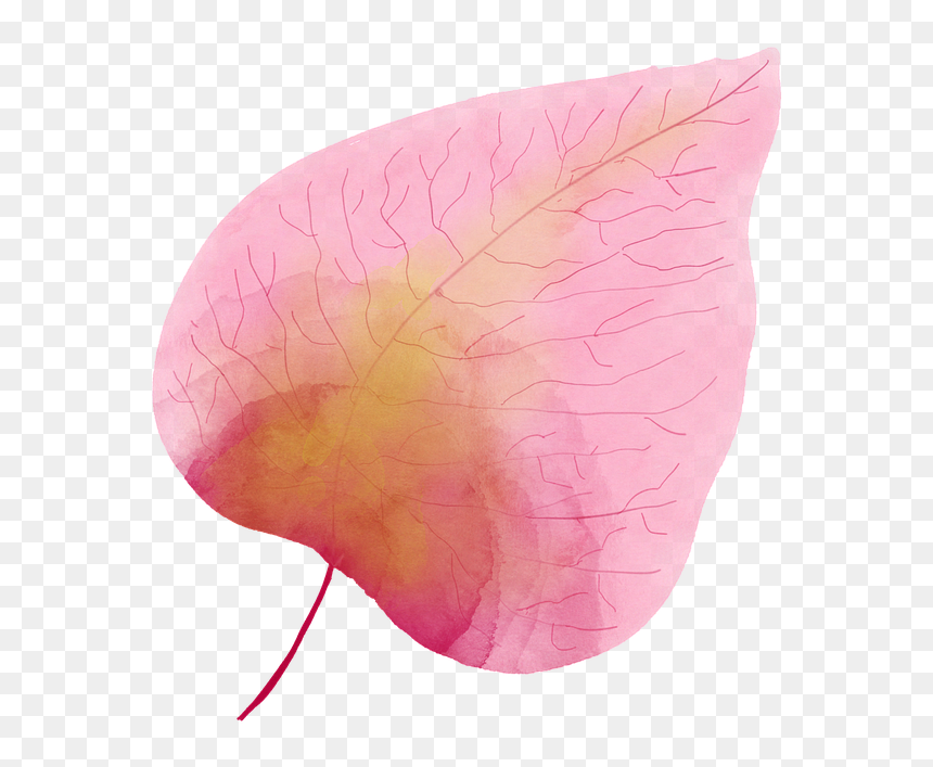 Watercolour Watercolor Leaf Pink Free Photo - Watercolor Leaf Pink, HD Png Download - watercolor leaves png