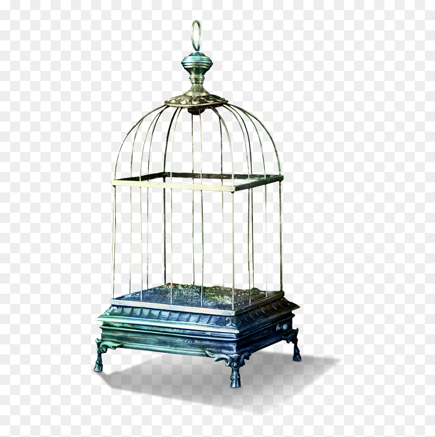Tubes Bird Cage Png , Png Download - Bird Cage Cartoon, Transparent Png - cage png