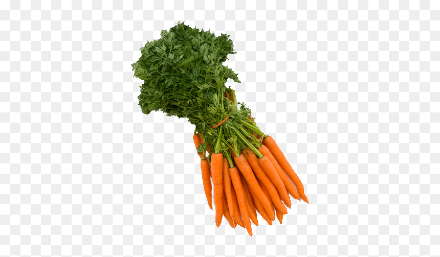 Carrots Png Bunch - Picked Vegetables Png, Transparent Png - carrots png
