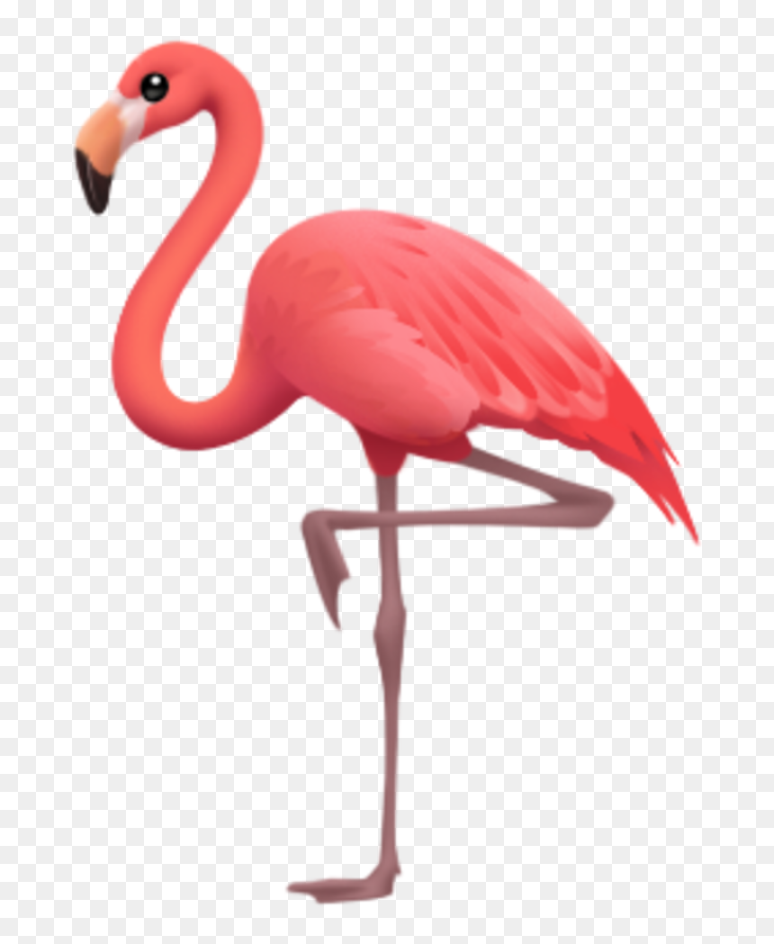 Iphone Flamingo Emoji, HD Png Download - water emoji png