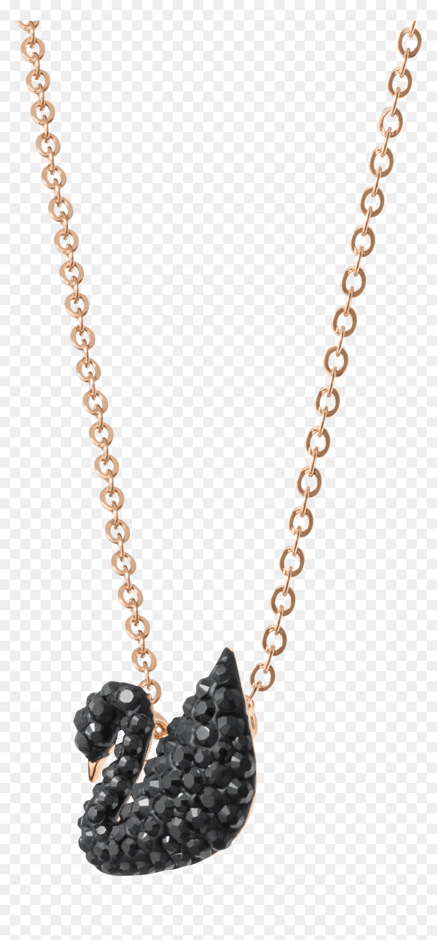 Iconic Swan Pendant, Small, Black, Rose Gold Plated - Rose Gold Tone Necklace Swarovski Black Swan, HD Png Download - black rose png