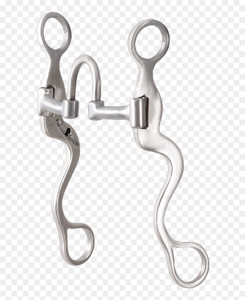 Bit Logic, Hd Png Download - Earrings, Transparent Png - broken chain png