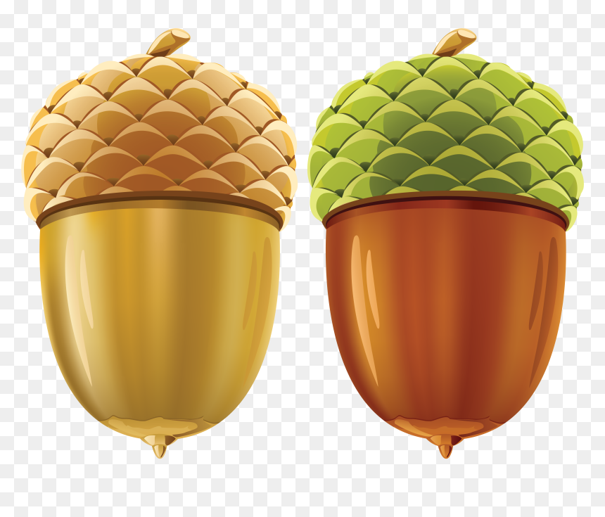 Acorn Png Image - Golden Acorn Png, Transparent Png - acorn png