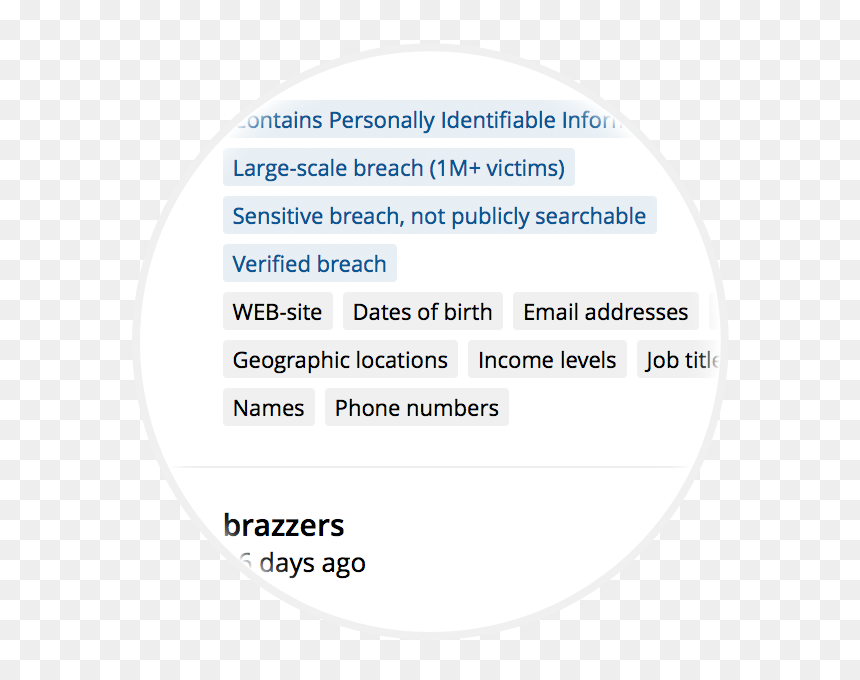 Financial Data Breach Prevention - Veeva Vault Document Types, HD Png Download - brazzers png