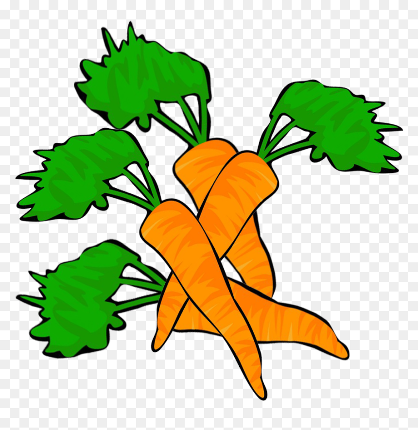 Four Carrots Clipart - Carrots Clipart, HD Png Download - carrots png