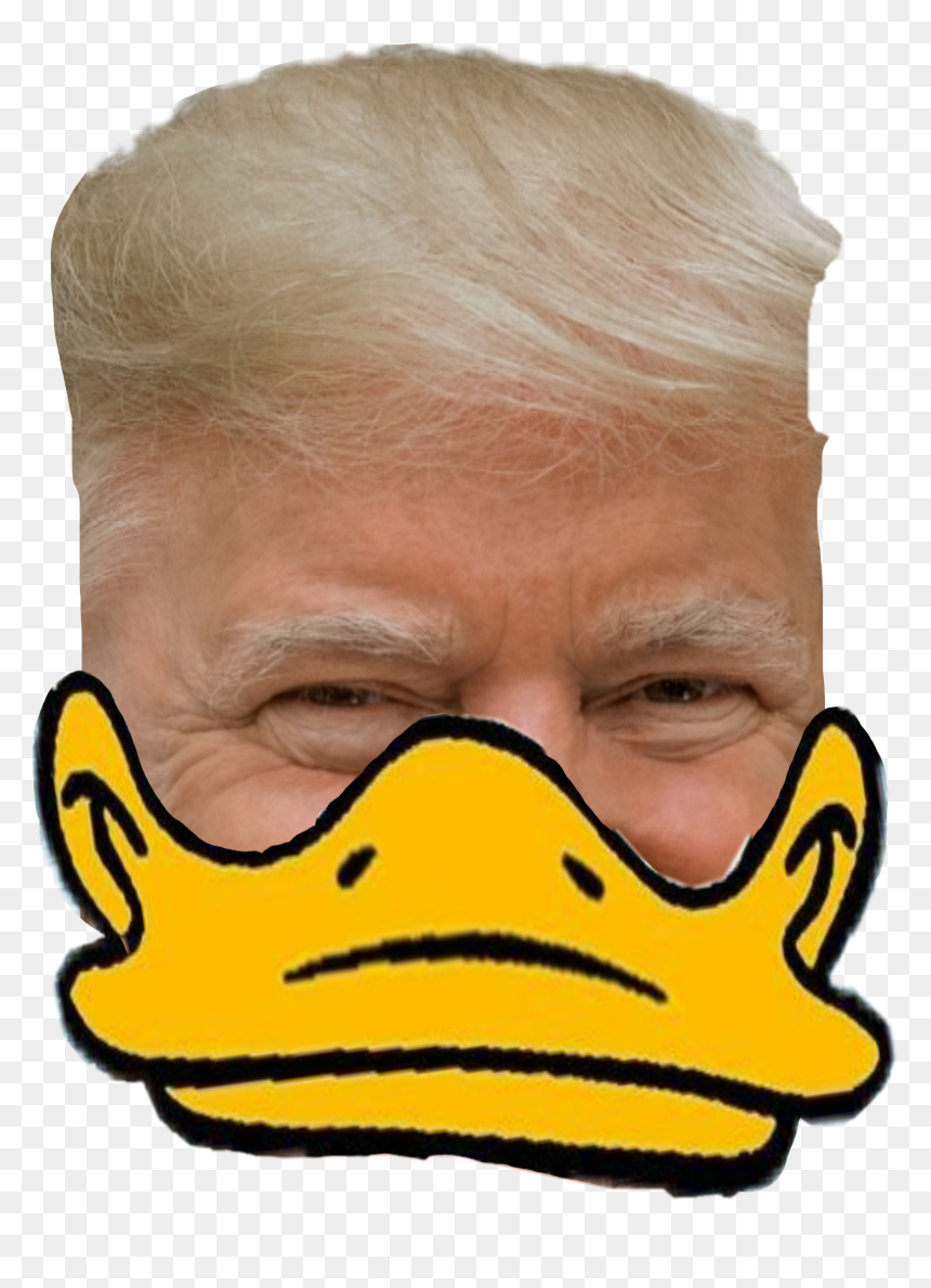 #freetoedit #trump #donald #donald Duck #donald Trump - Duck, HD Png Download - donald trump hair png