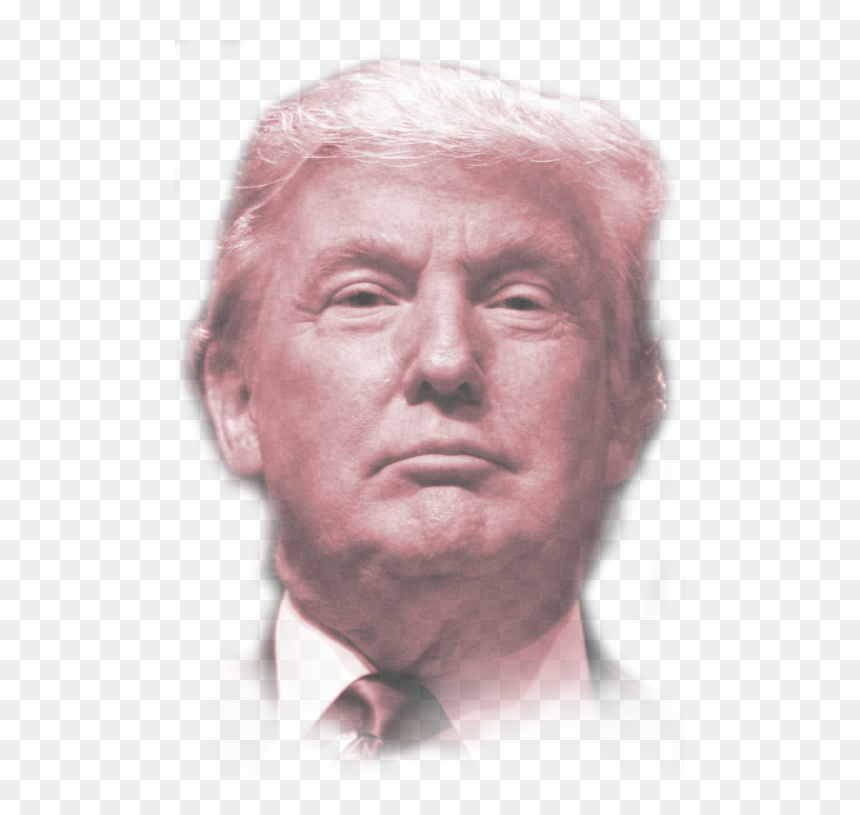 Follow Donald Trump - Stay In Mexico Policy, HD Png Download - donald trump hair png