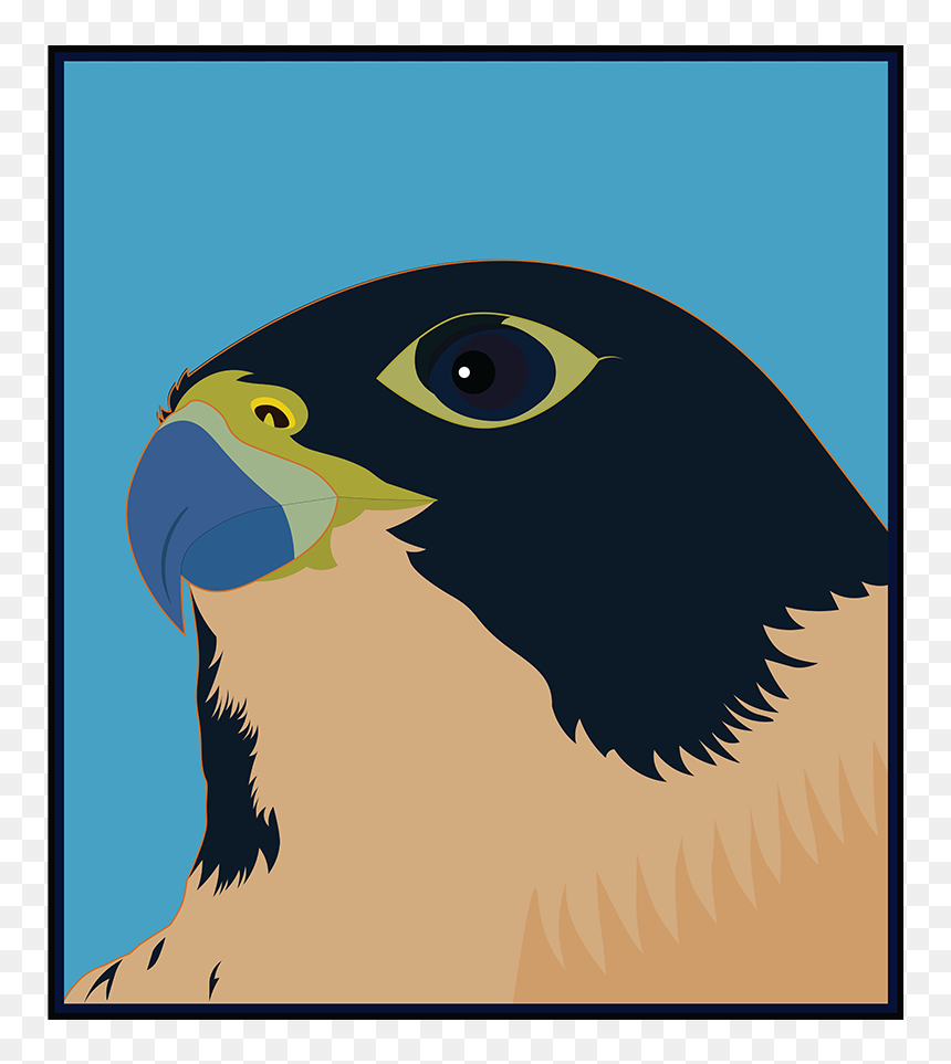 Parrot, HD Png Download - falcon png