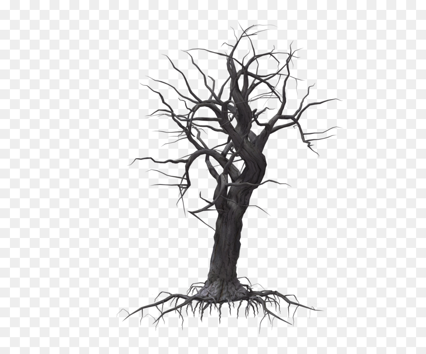 Tree Woody Plant Drawing - Woody Plant, HD Png Download - creepy png