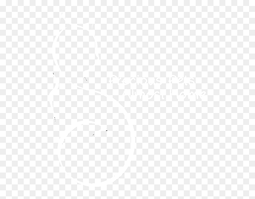 Twinkle Png Page - Monochrome, Transparent Png - twinkle png