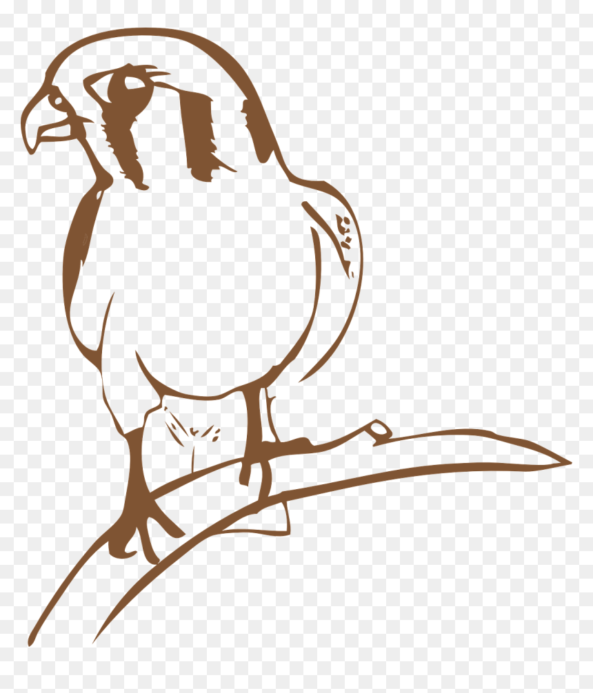 นก เหยี่ยว แดง การ์ตูน, HD Png Download - falcon png