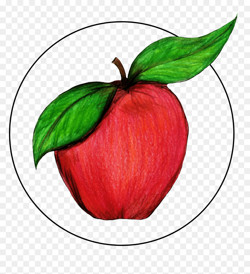 Mcintosh, HD Png Download - apple icon png