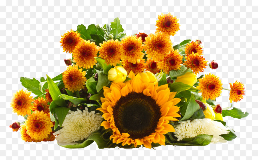 Transparent Sunflower Bouquet Clipart - Png Flower Bouquets Sunflower, Png Download - png photo