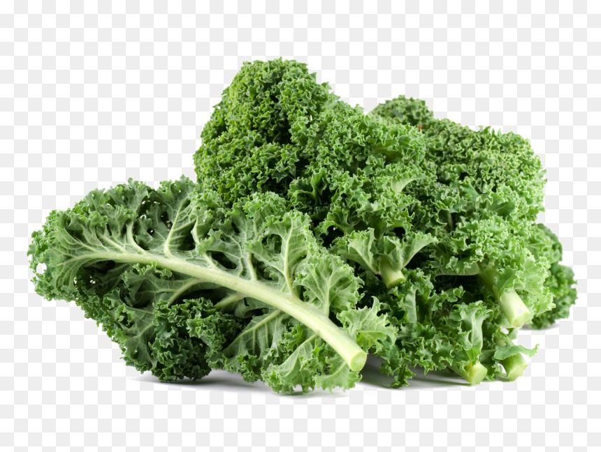 Kale Png File - Kale Leaves, Transparent Png - kale png