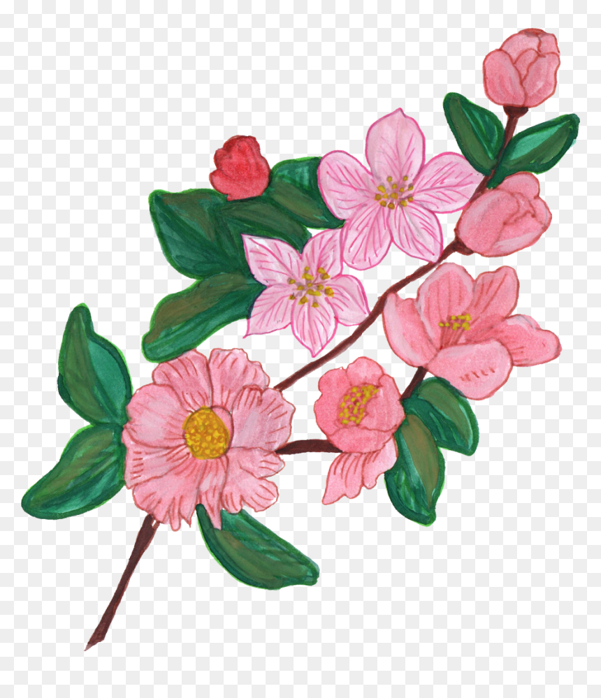 Flowers Images Painted Png, Transparent Png - painting png