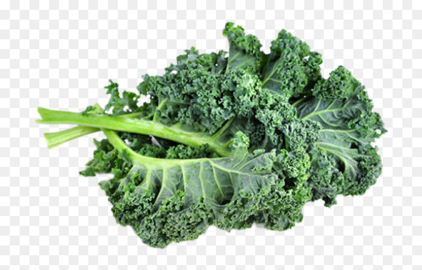 Thumb Image - Kale Png, Transparent Png - kale png