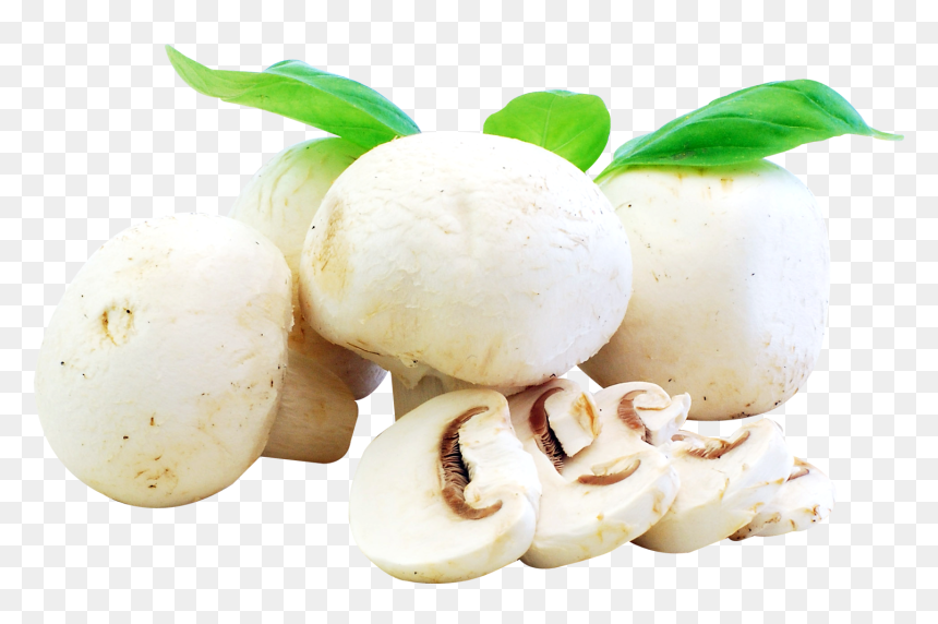 Transparent Background Mushrooms Png, Png Download - mushrooms png