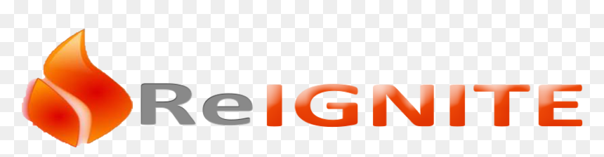 Orange, HD Png Download - website logo png