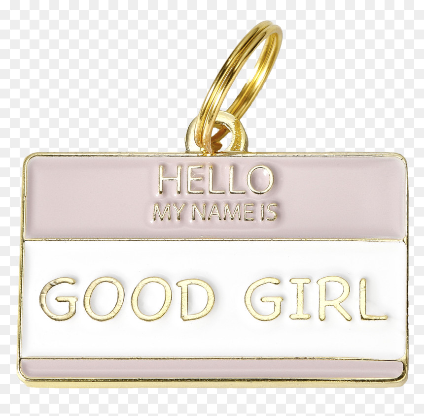 Pet Tag, HD Png Download - hello my name is png