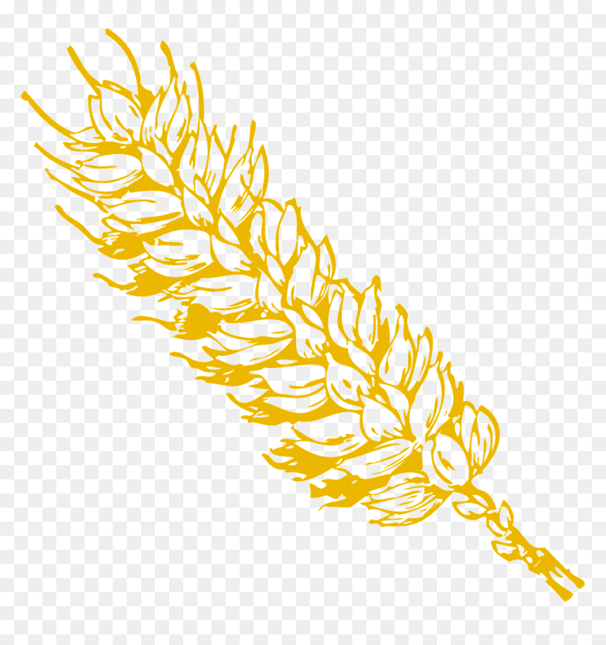 Grain Png, Transparent Png - grain png