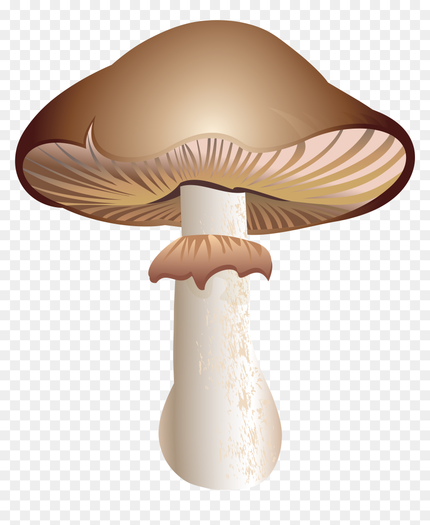 Mushroom Png Clipart, Transparent Png - mushrooms png