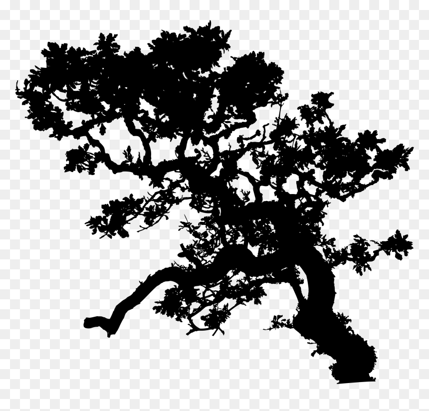 Transparent Tall Pine Tree Silhouette Png - White Silhouette Png Trees, Png Download - pine tree silhouette png